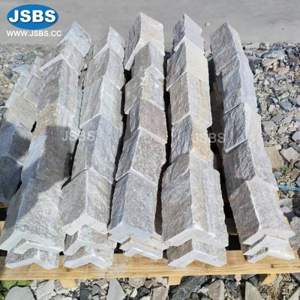 JS-RC025