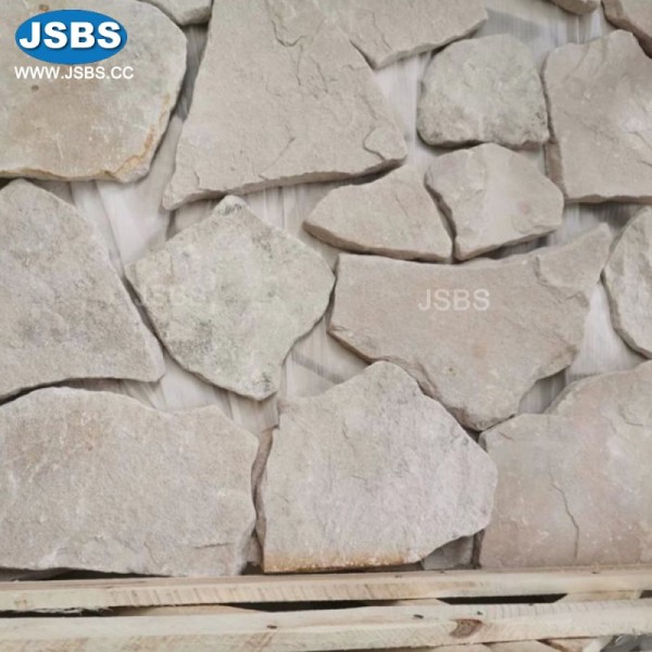 JS-RC100