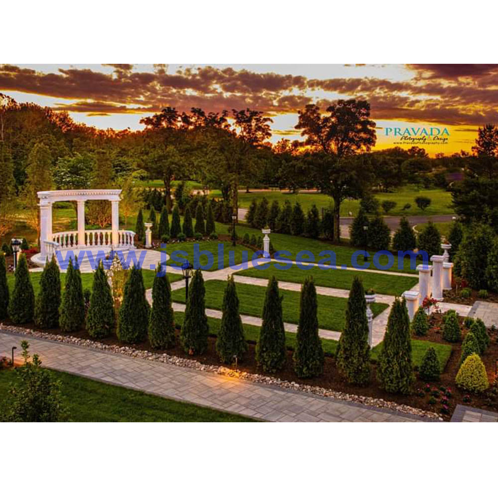 Super Luxury Wedding Venue decoration project for US