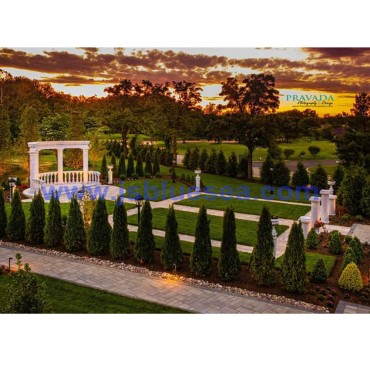 Super Luxury Wedding Venue decoration project for US